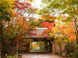 �G�[�XJTB�F����������